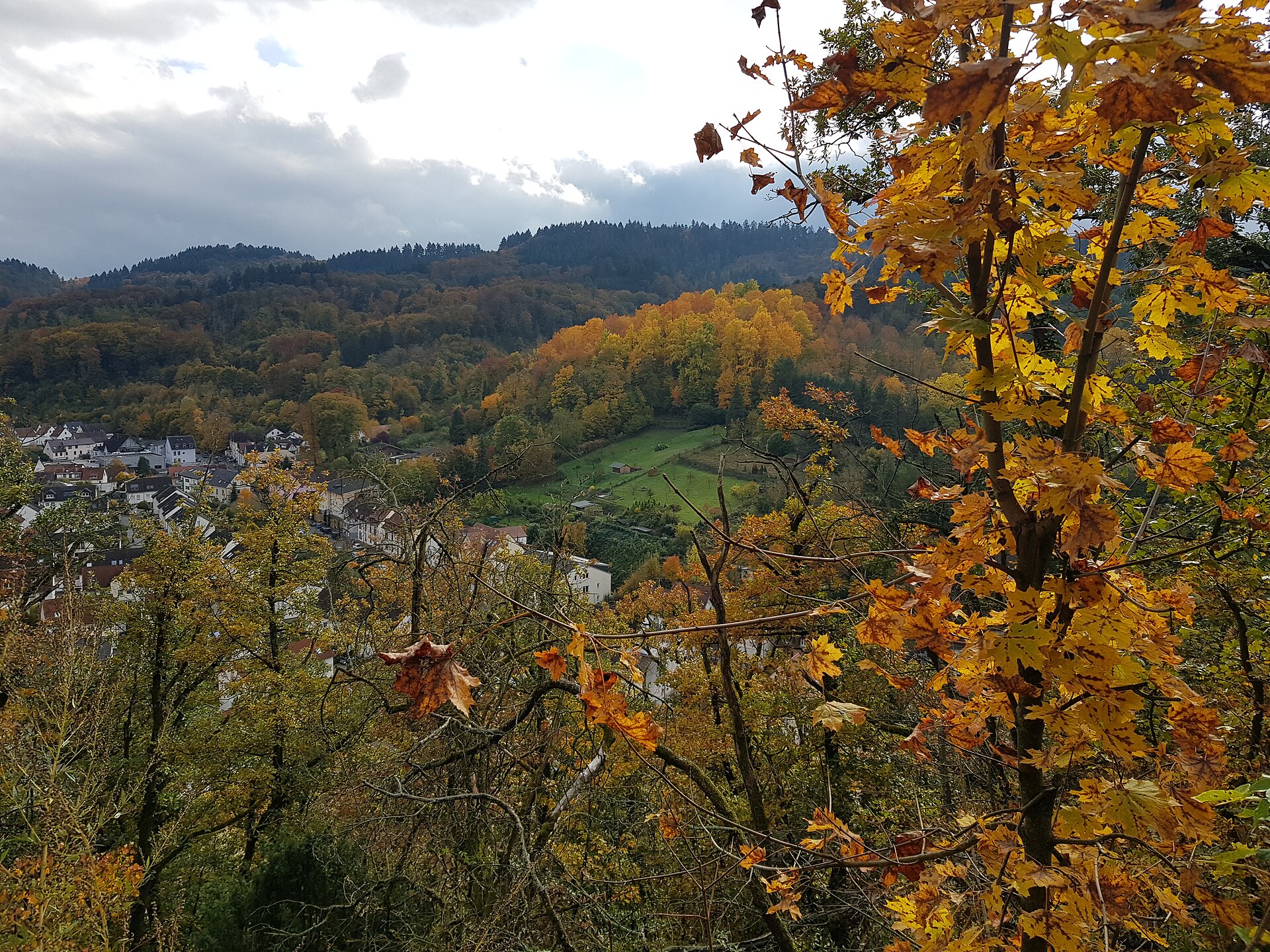 Herbstlicher Blick auf den Exotenwald in Weinheim